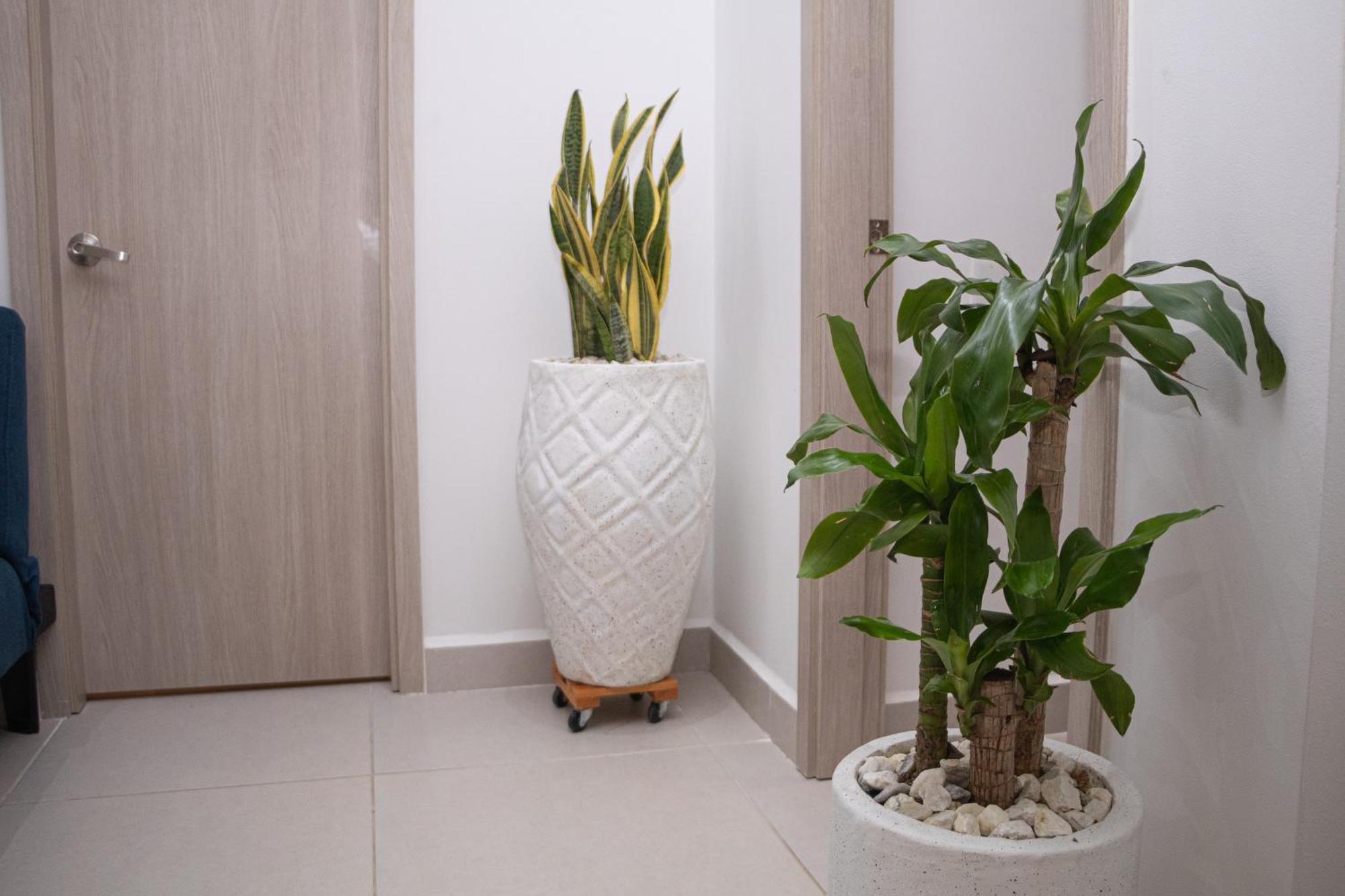 Apartamento De Lujo Frente Al Mar Con Piscina Cartagena Eksteriør billede
